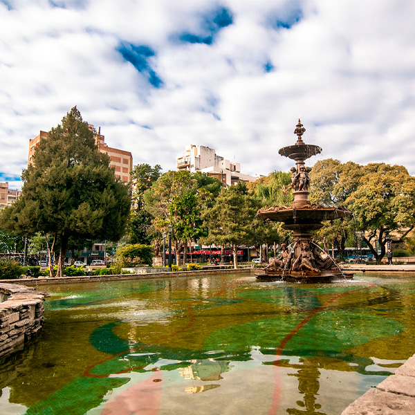Colon